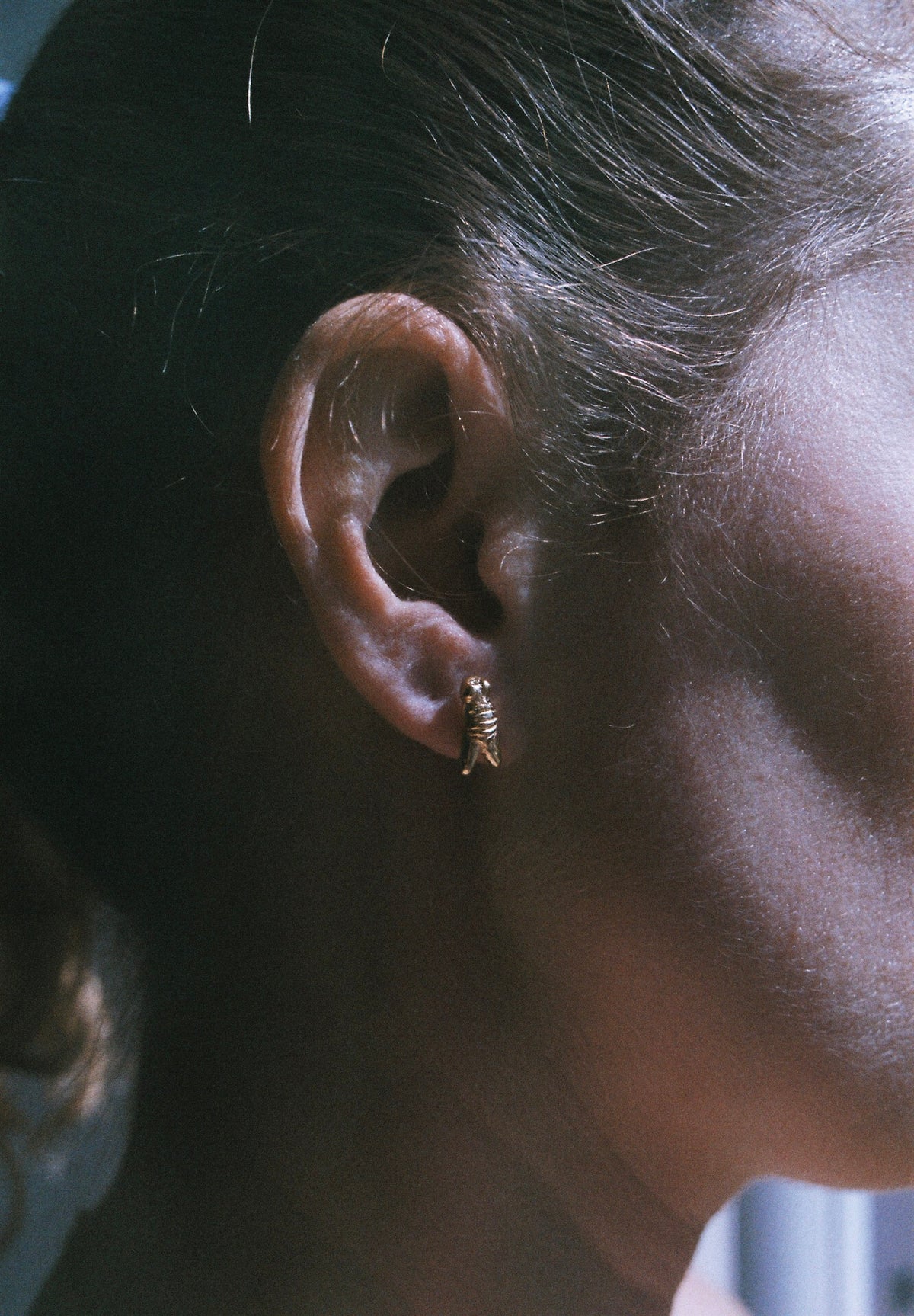Fly Earrings
